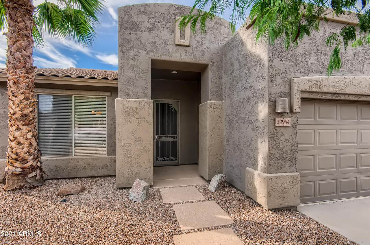 29954 Little Leaf Drive - Photo 1