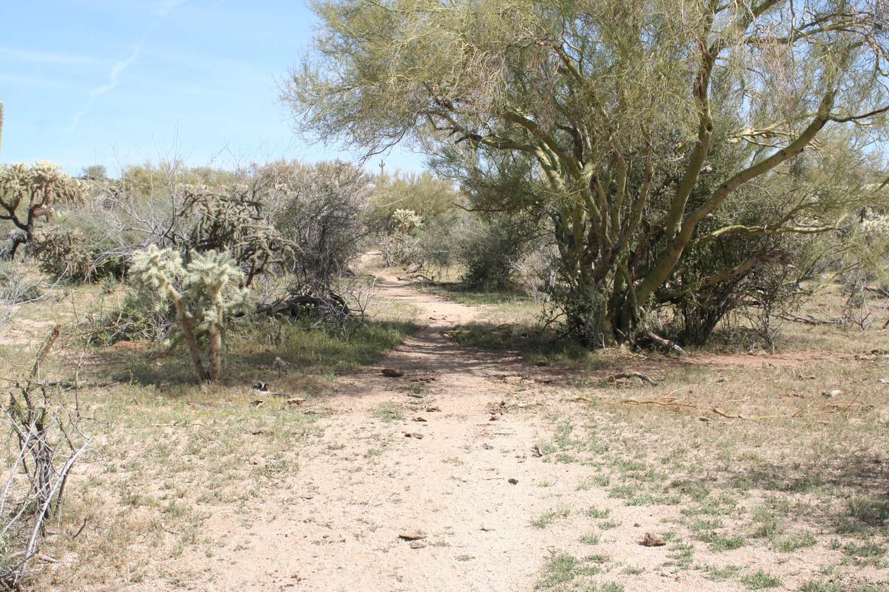 12 miles Florence-Kelvin Highway - Photo 1
