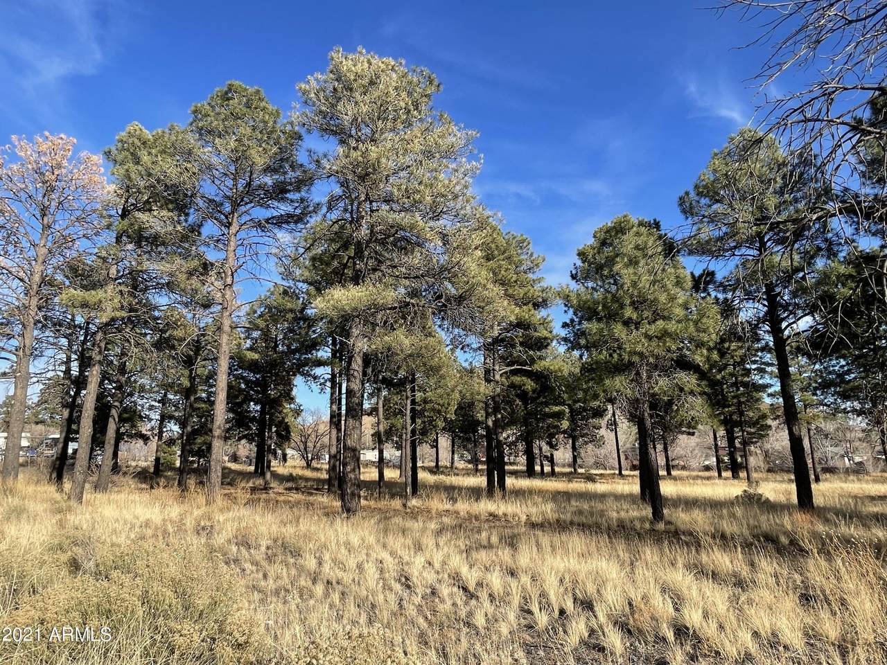 5950 Us Highway 89 - Photo 1
