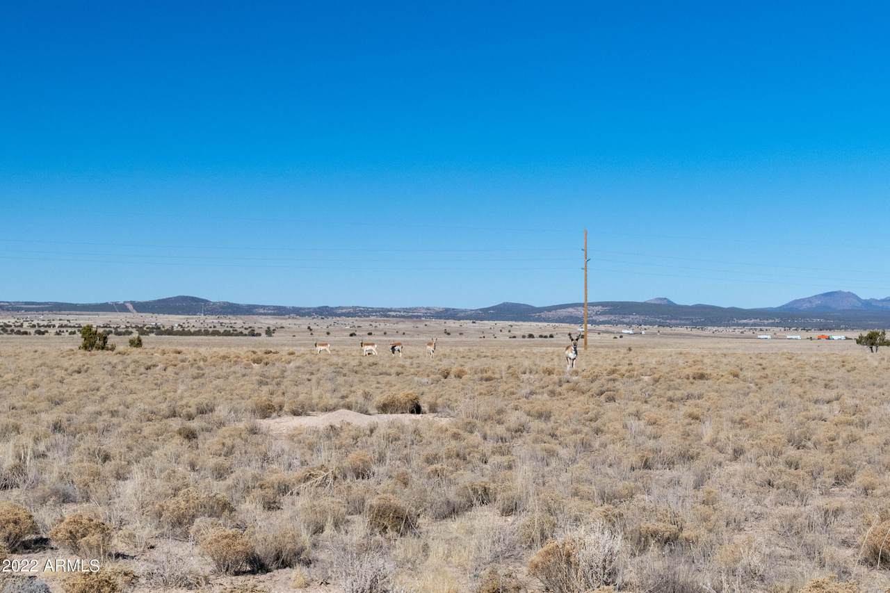 46XXX Arizona Road - Photo 1