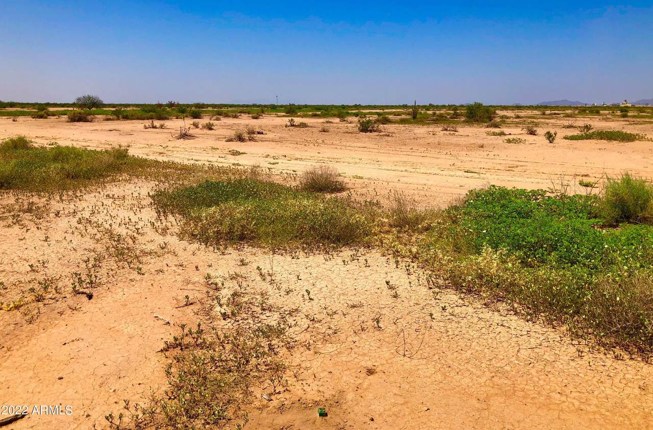 8.34 Ac Cornman Road - Photo 1