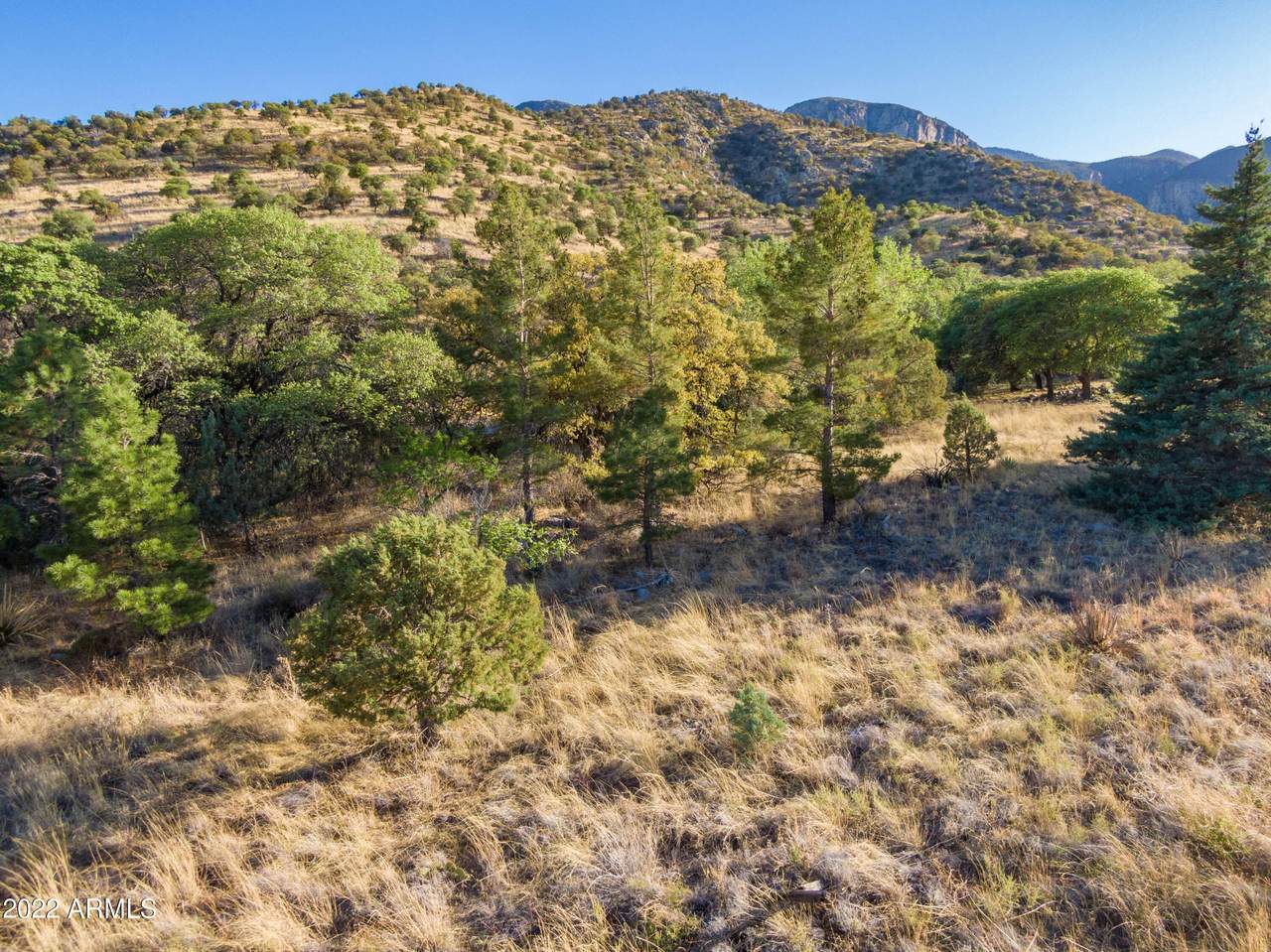 TBD Carr Canyon Road - Photo 1
