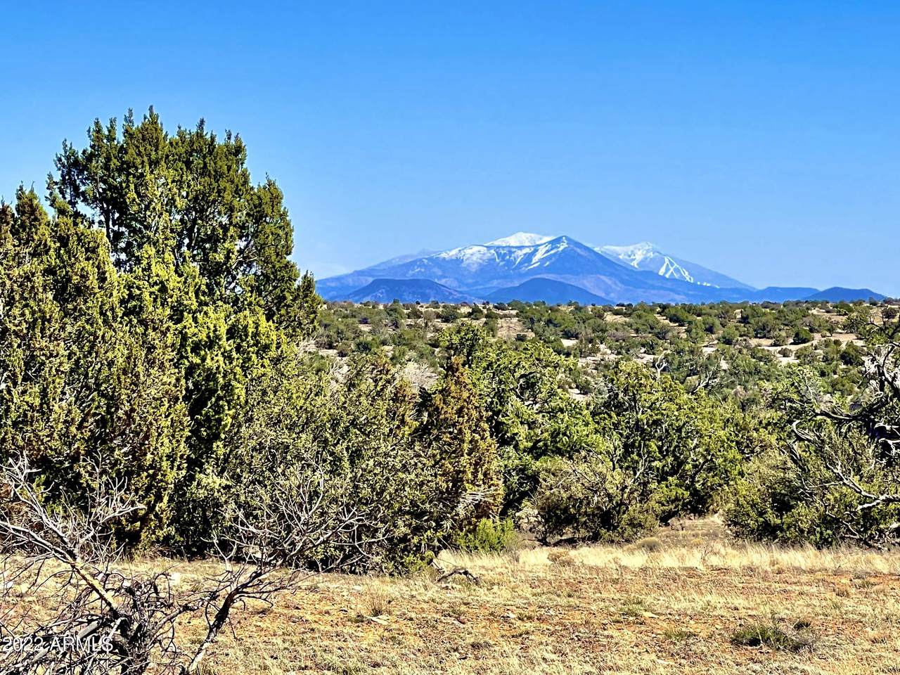 5893 Fire Sky Trail - Photo 1