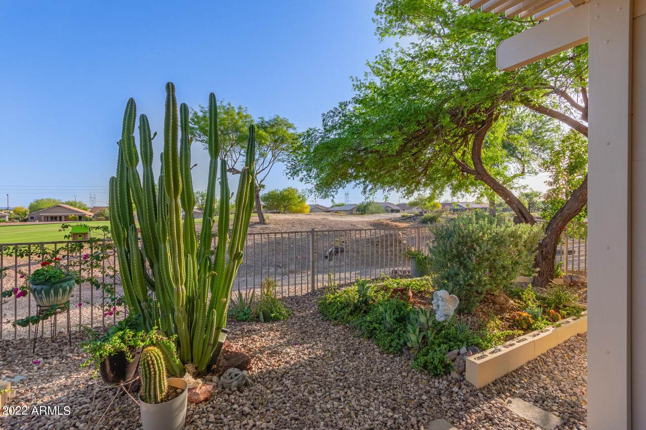 23129 Lasso Lane - Photo 1