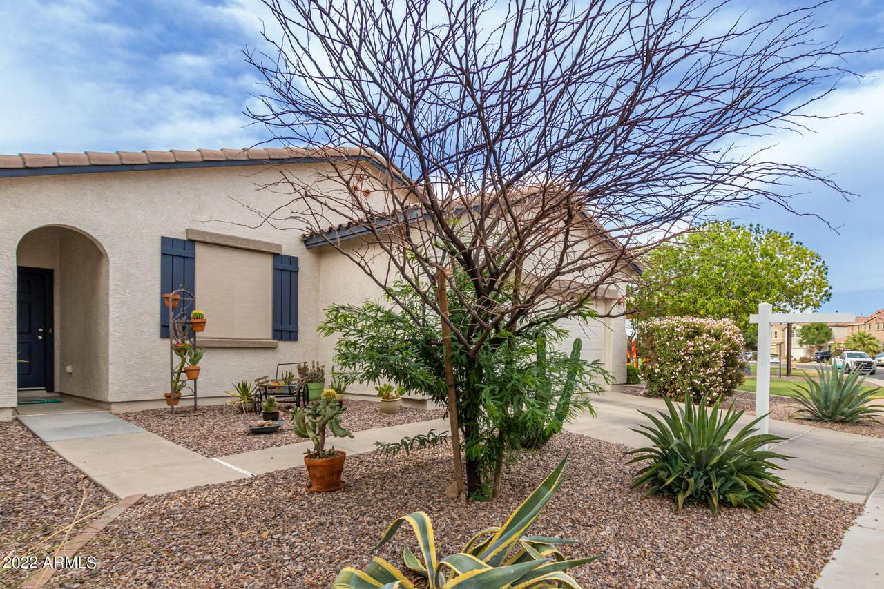 42454 Somerset Drive - Photo 1