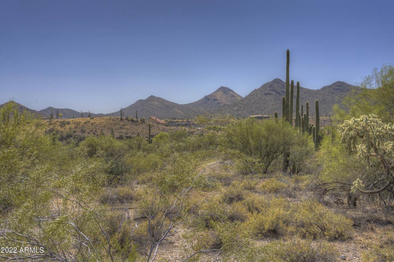 40300 Spur Cross Road - Photo 1