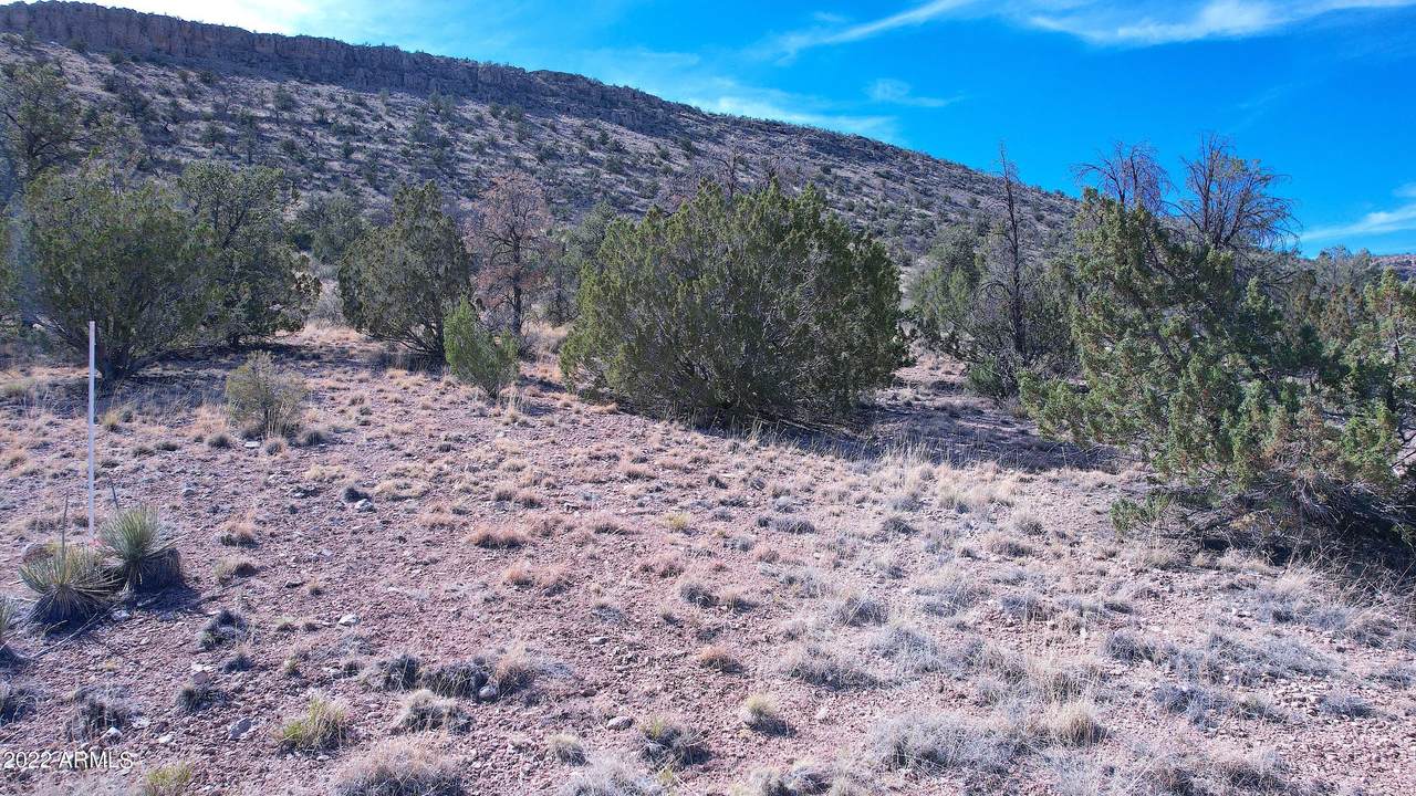 1240 Sierra Verde Ranch Road - Photo 1