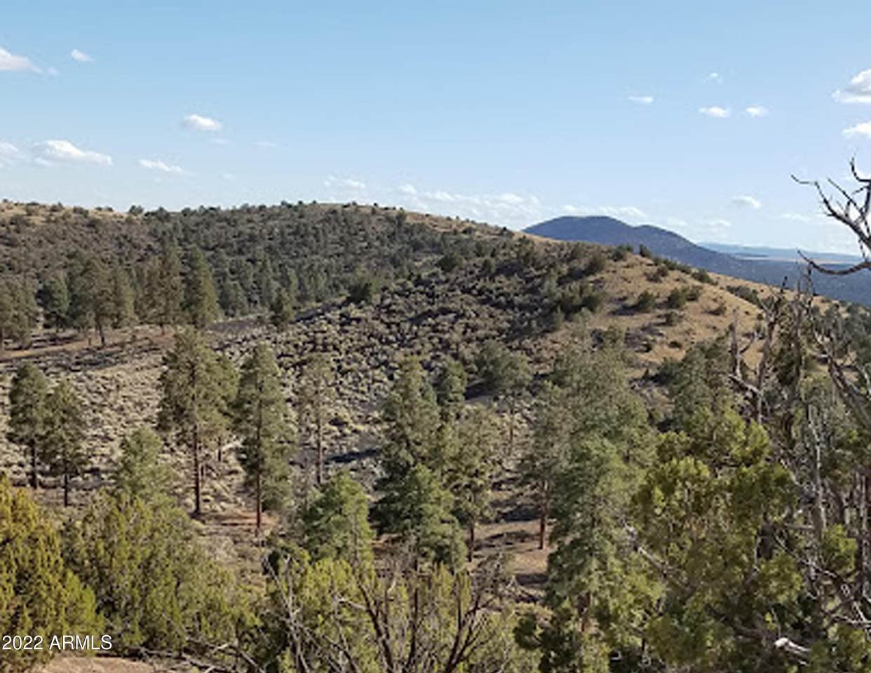 0000 Forest Service Rd 9143M Road - Photo 1