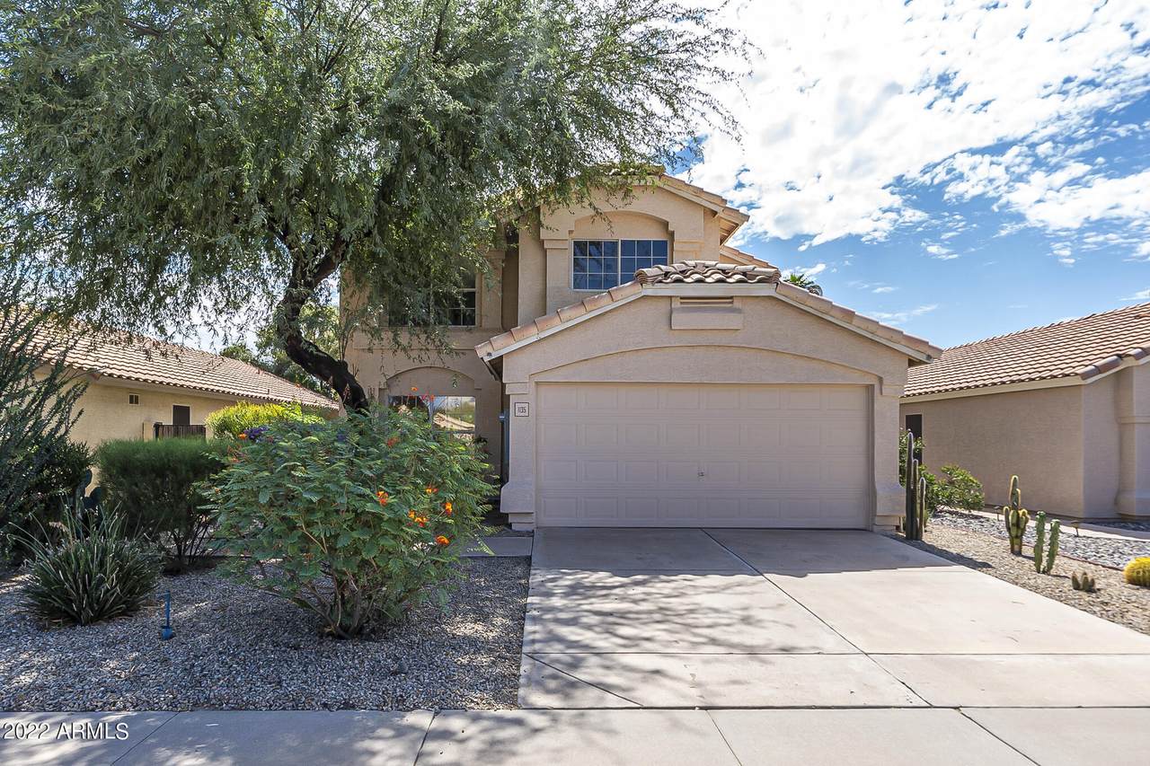 1135 Macaw Drive - Photo 1
