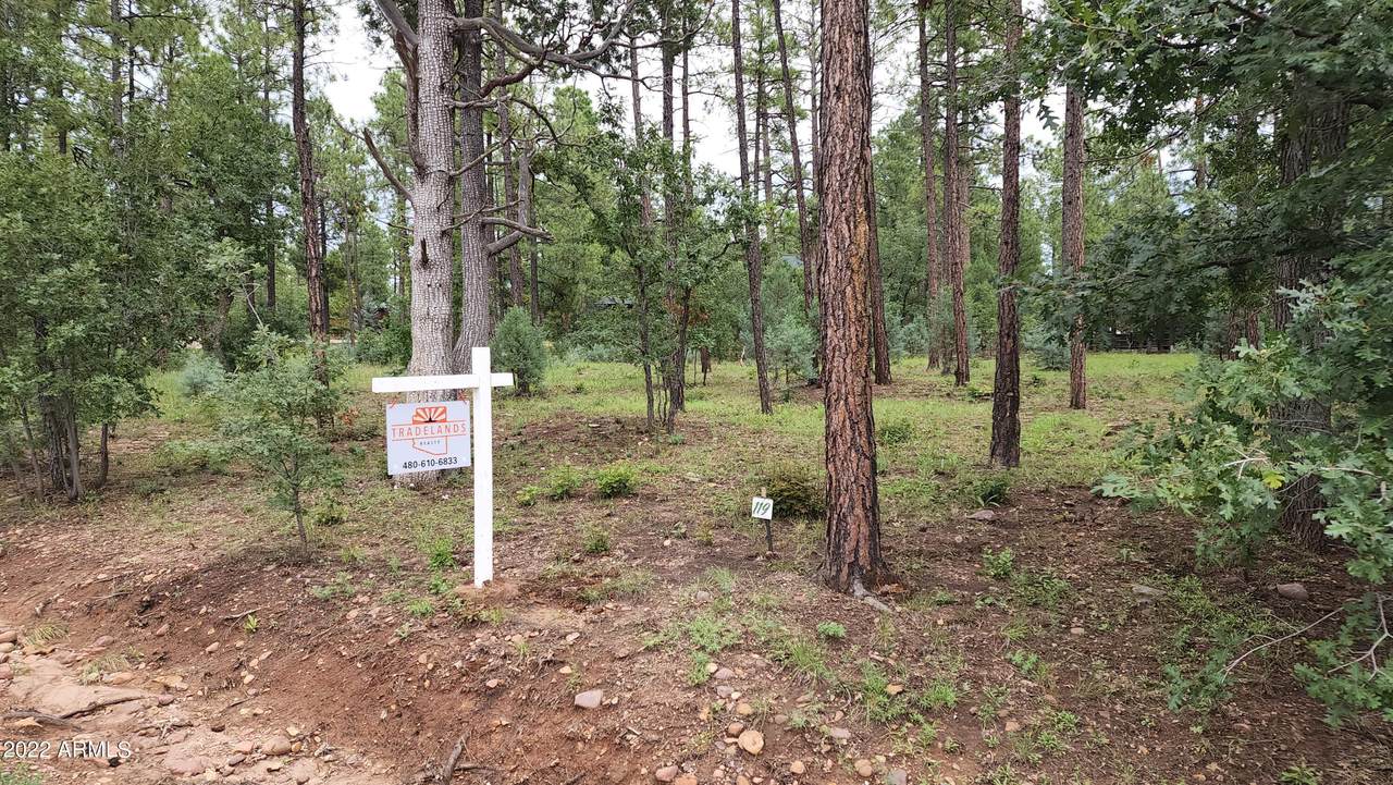 0 Cedar Pine Lane - Photo 1