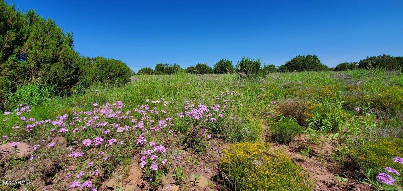 TBD Lot 628 - Photo 1
