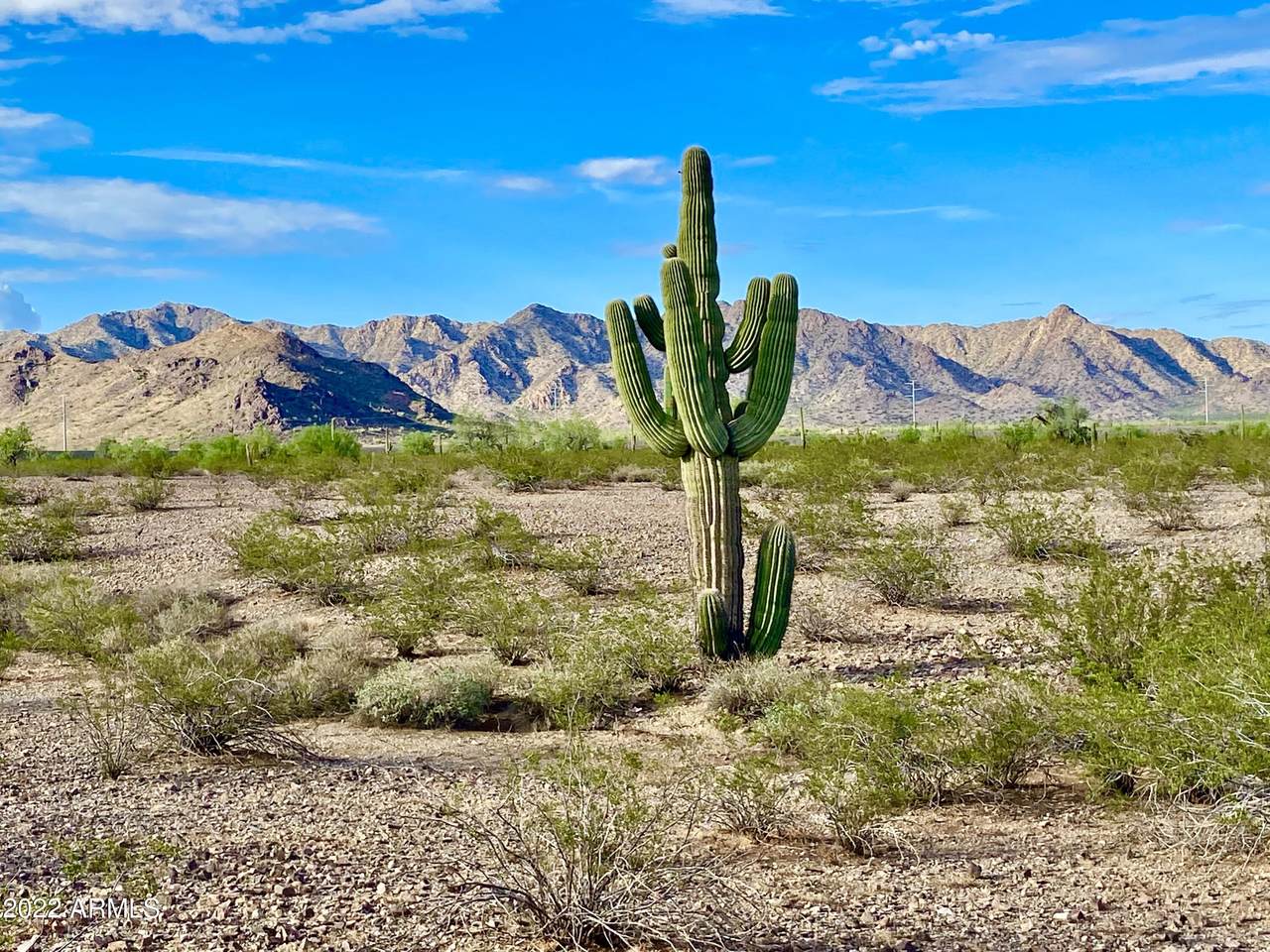 0 Cholla Rd 12.53 Acres - Photo 1