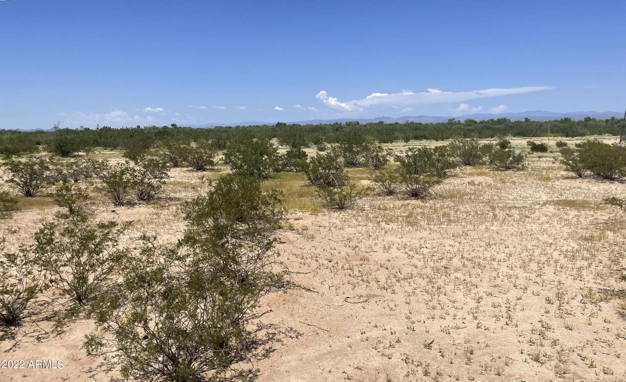 0 Lone Cactus Drive - Photo 1