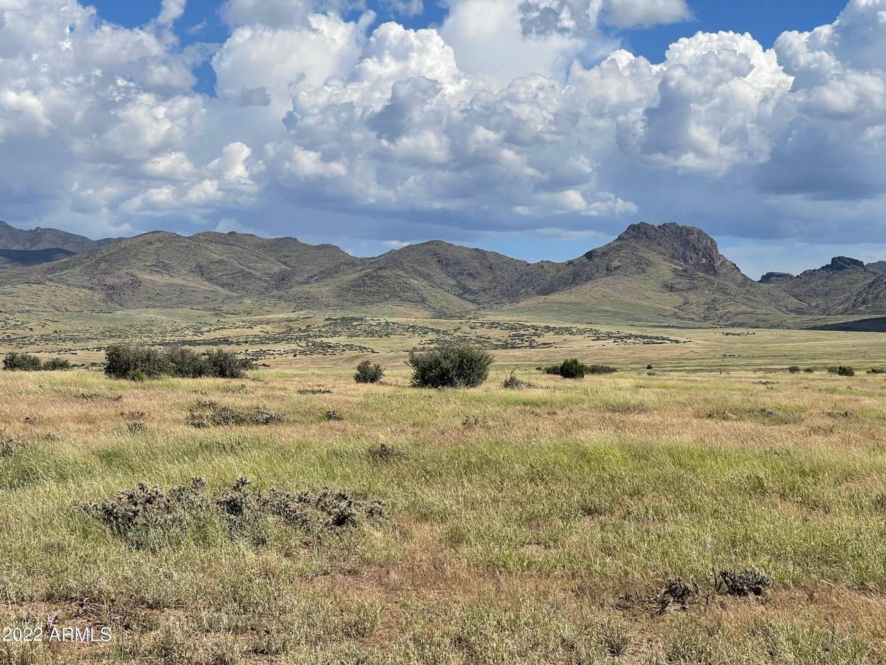 11200 Torok Trail - Photo 1