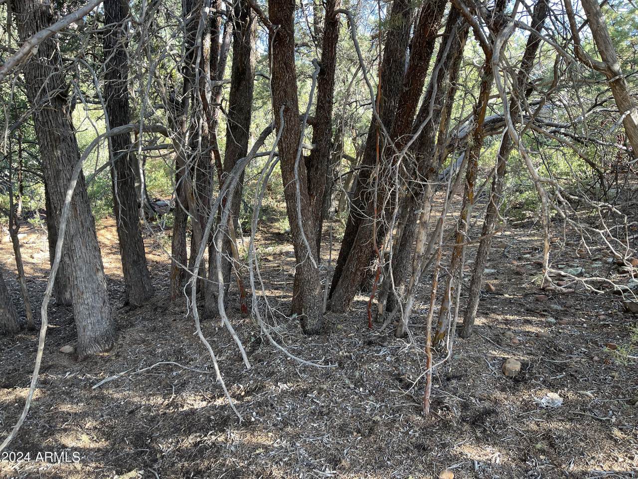 9 Lodgepole Circle - Photo 1