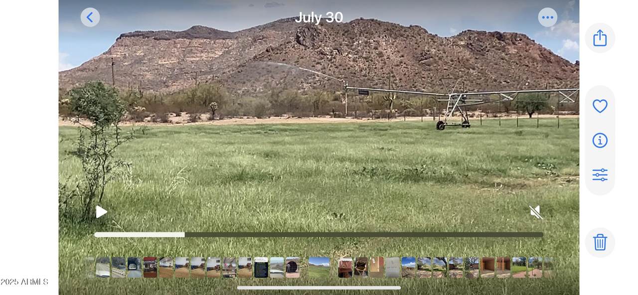 28952 Price Road - Photo 1