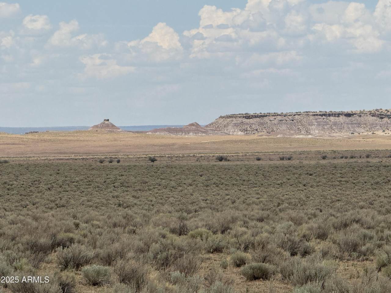 3 Lots in Carrizo Ranch - Photo 1