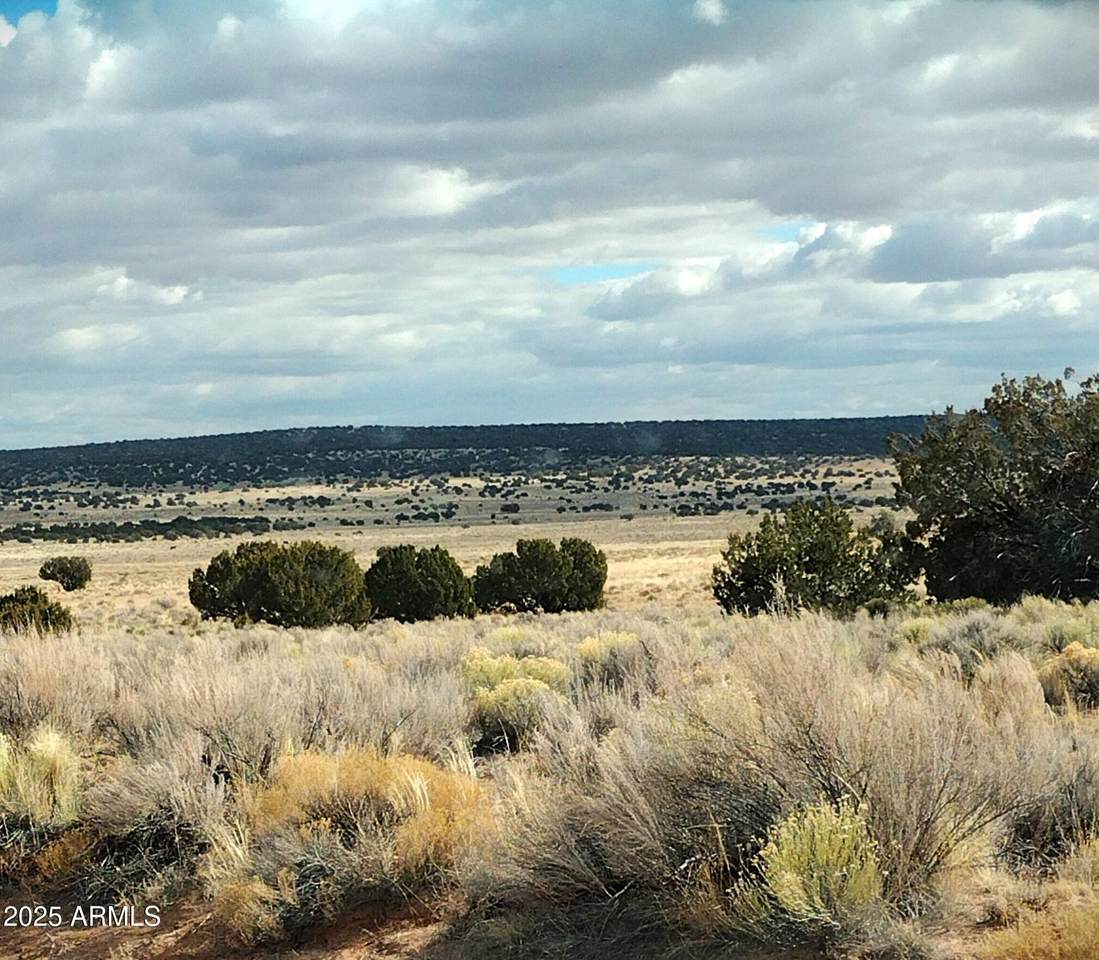Lot 271 Red Sky Ranch - Photo 1