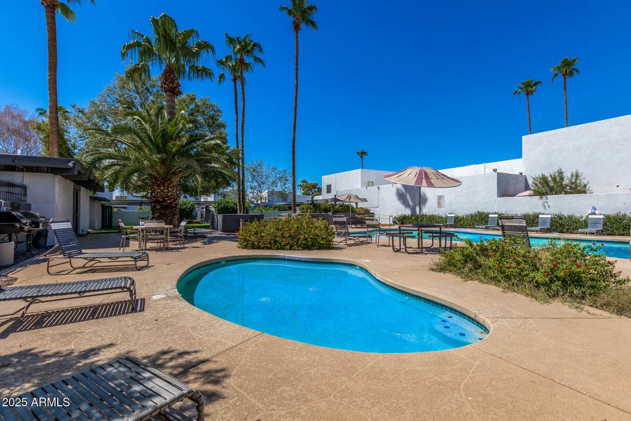 8576 Indian School Road - Photo 1