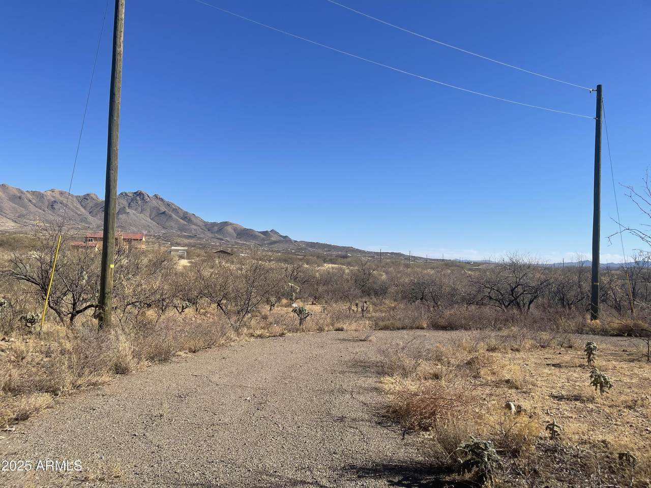 1764 Calle Regina - Photo 1