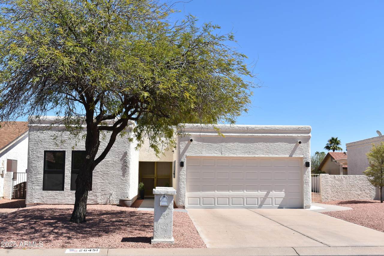 26451 Hogan Drive - Photo 1