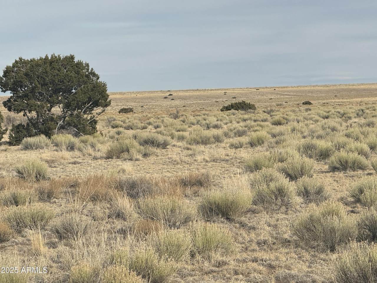 107 & 108 Elk Valley Ranch - Photo 1