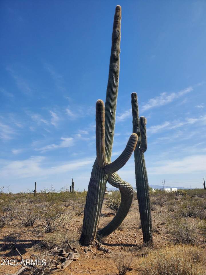 43513 261st Avenue - Photo 1