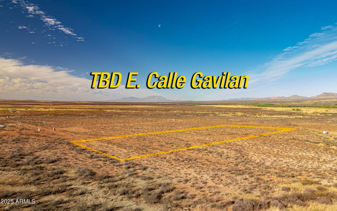 TBD Calle Gavilan - Photo 1