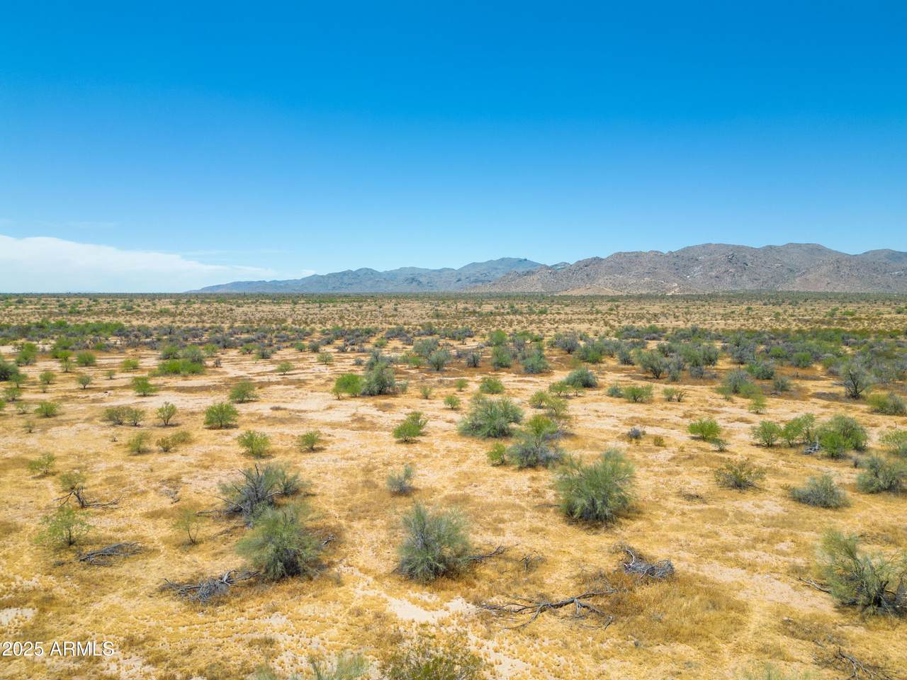 19500 195th Avenue - Photo 1