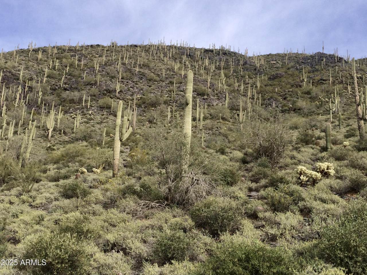 62XX Carriage Drive - Photo 1