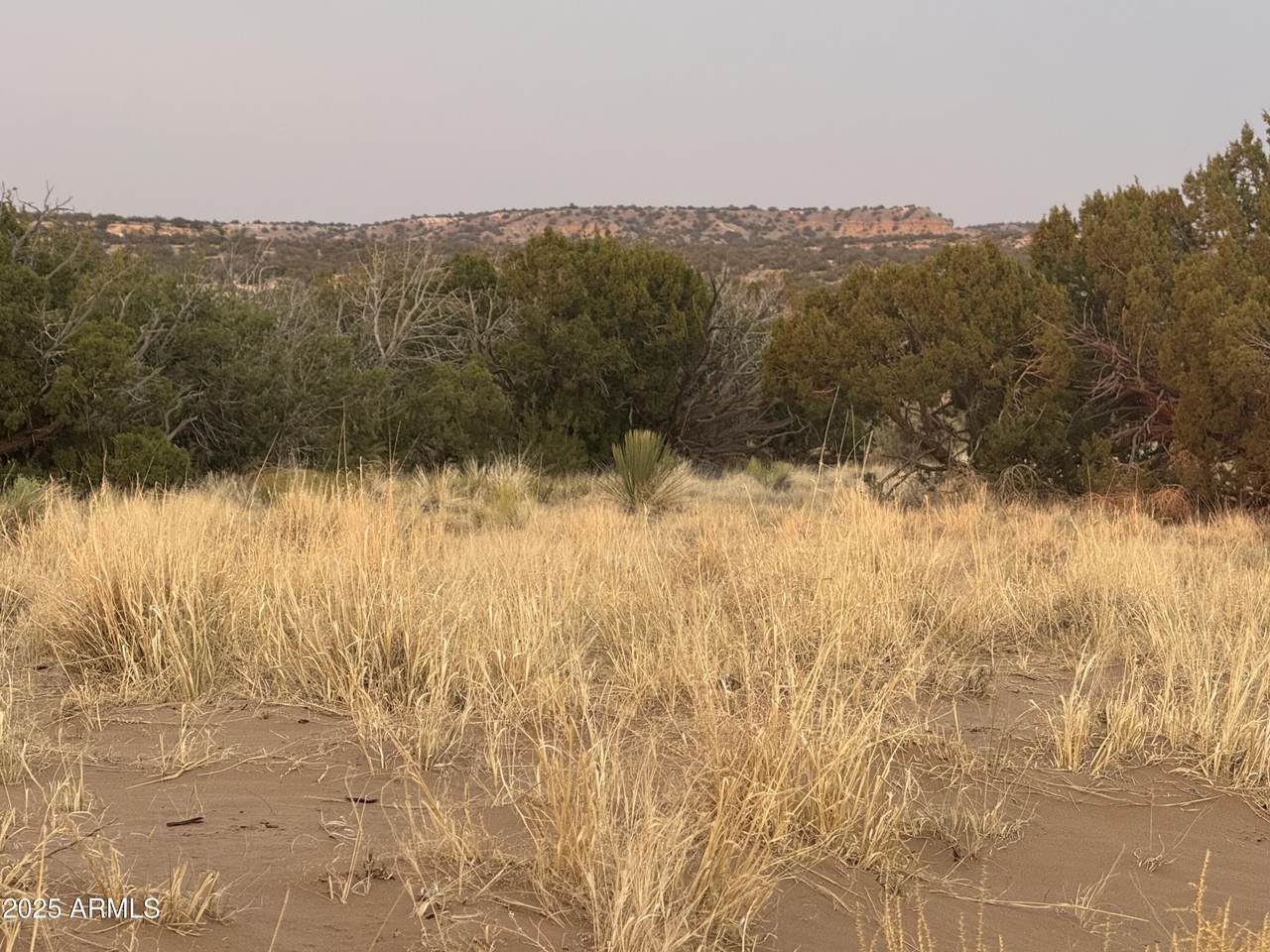 Lot 1041 Woodland Valley Ranch - Photo 1