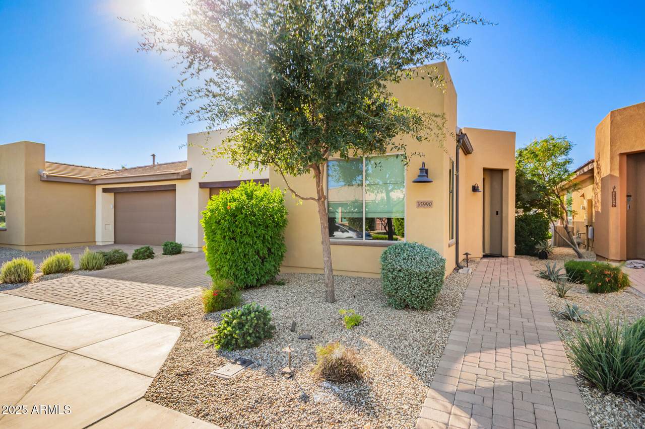 35990 Desert Tea Drive - Photo 1