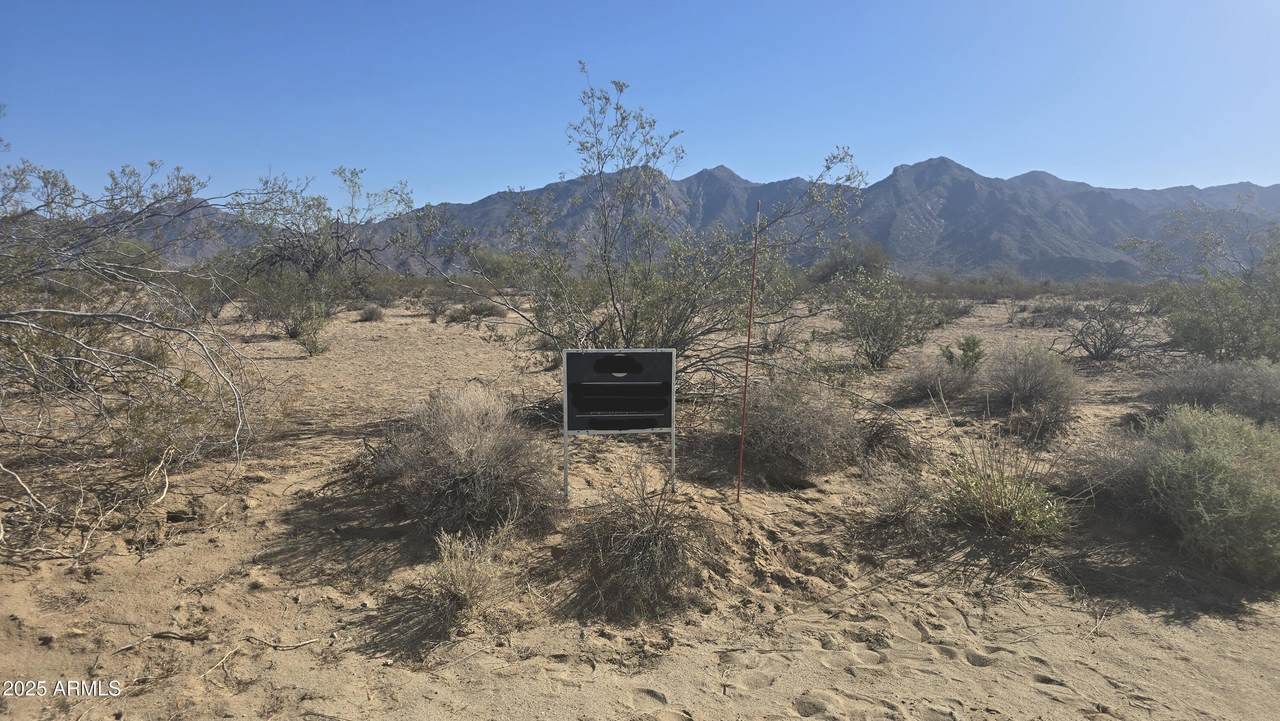 115XX Riggs Road - Photo 1