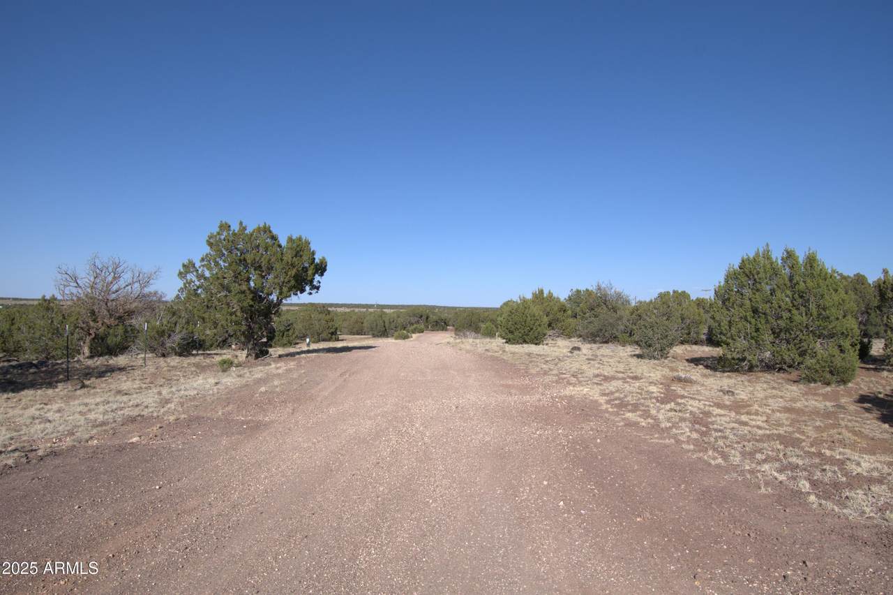 TBD Lot 14 Bonito Drive - Photo 1