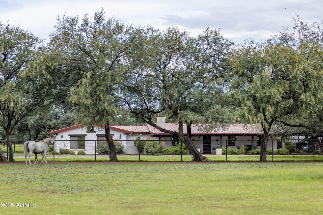 3155 Elephant Head Road - Photo 1