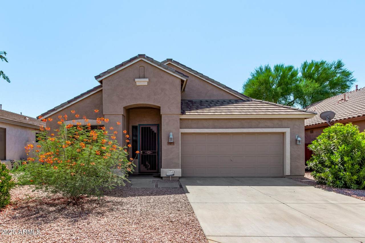 30079 Little Leaf Drive - Photo 1