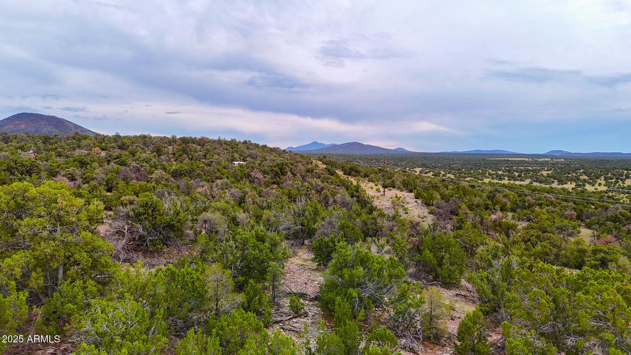 132 Sidewinder Road - Photo 1