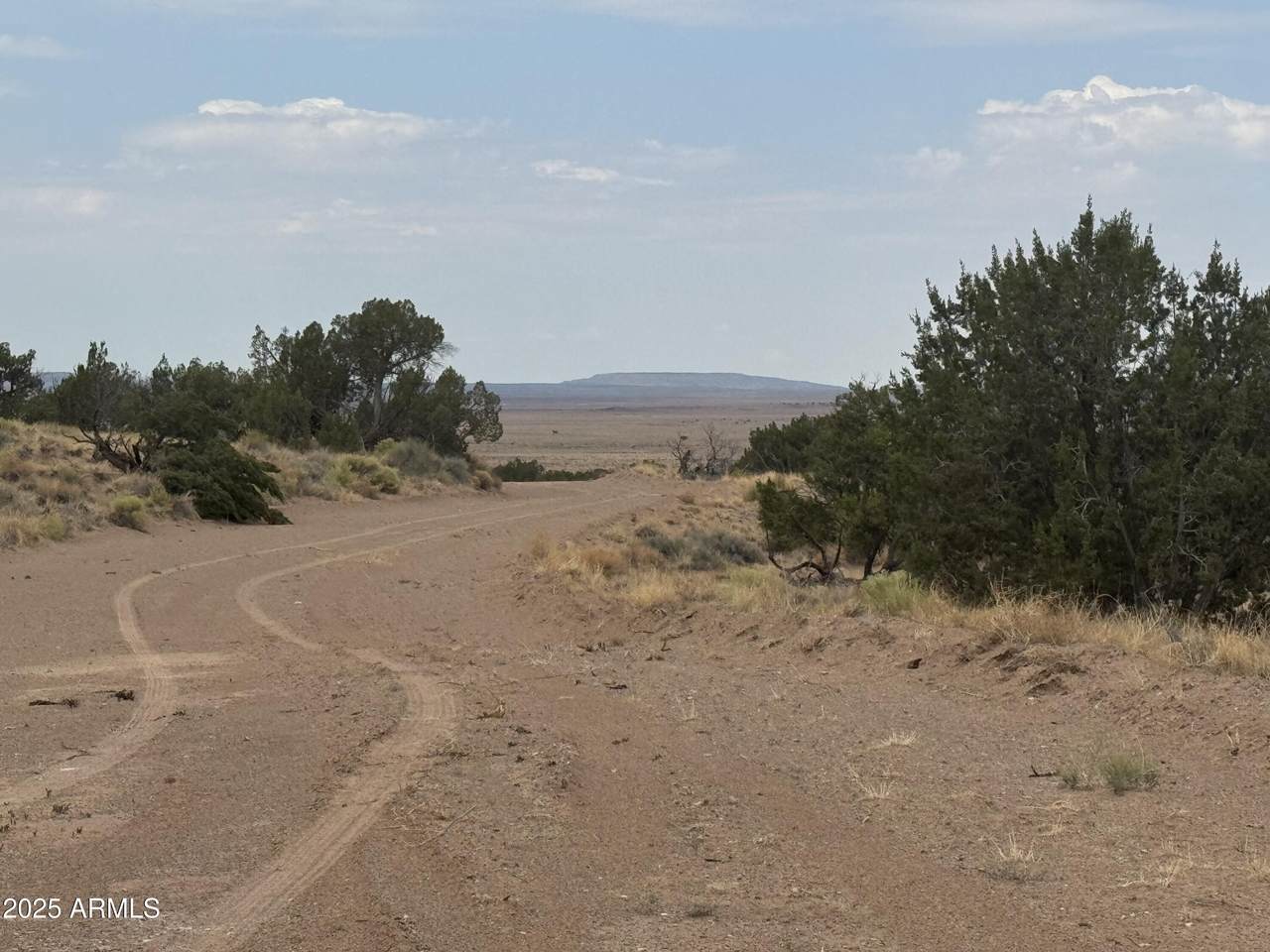 Lot 99 Carrizo Ranch - Photo 1