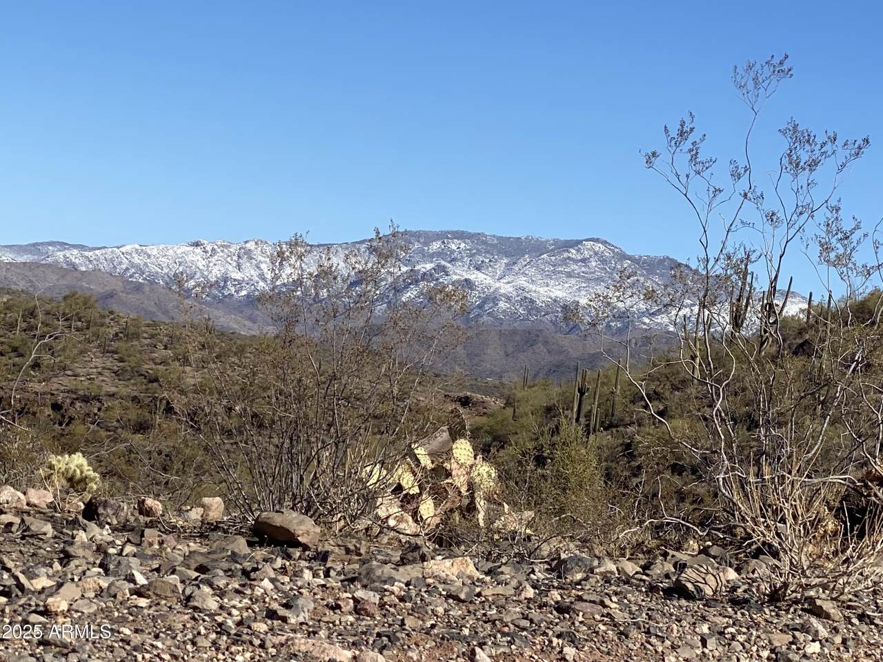 00XXX Lake Pleasant/Rebel Pass Road - Photo 1