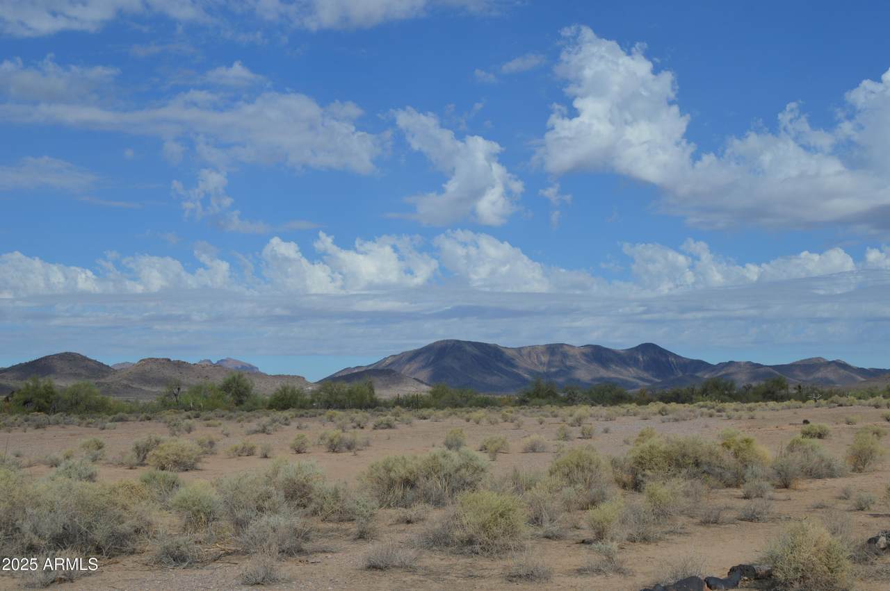 390XX Southern Avenue - Photo 1