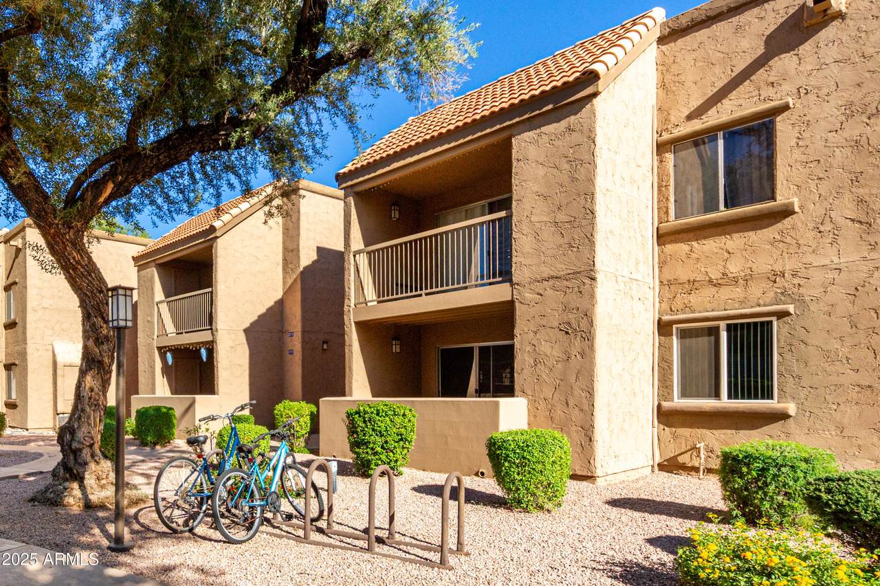 8260 Arabian Trail - Photo 1