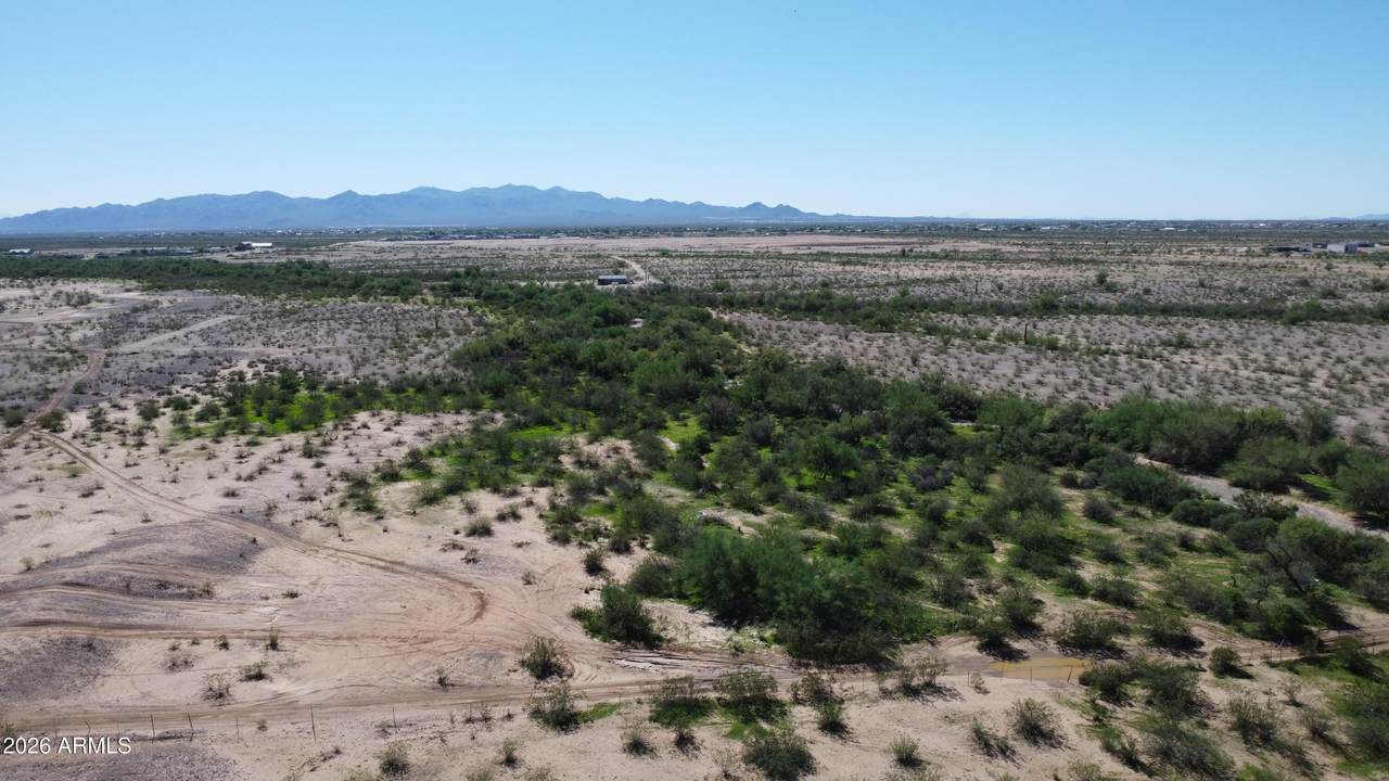 24423 Lone Mountain Road - Photo 1