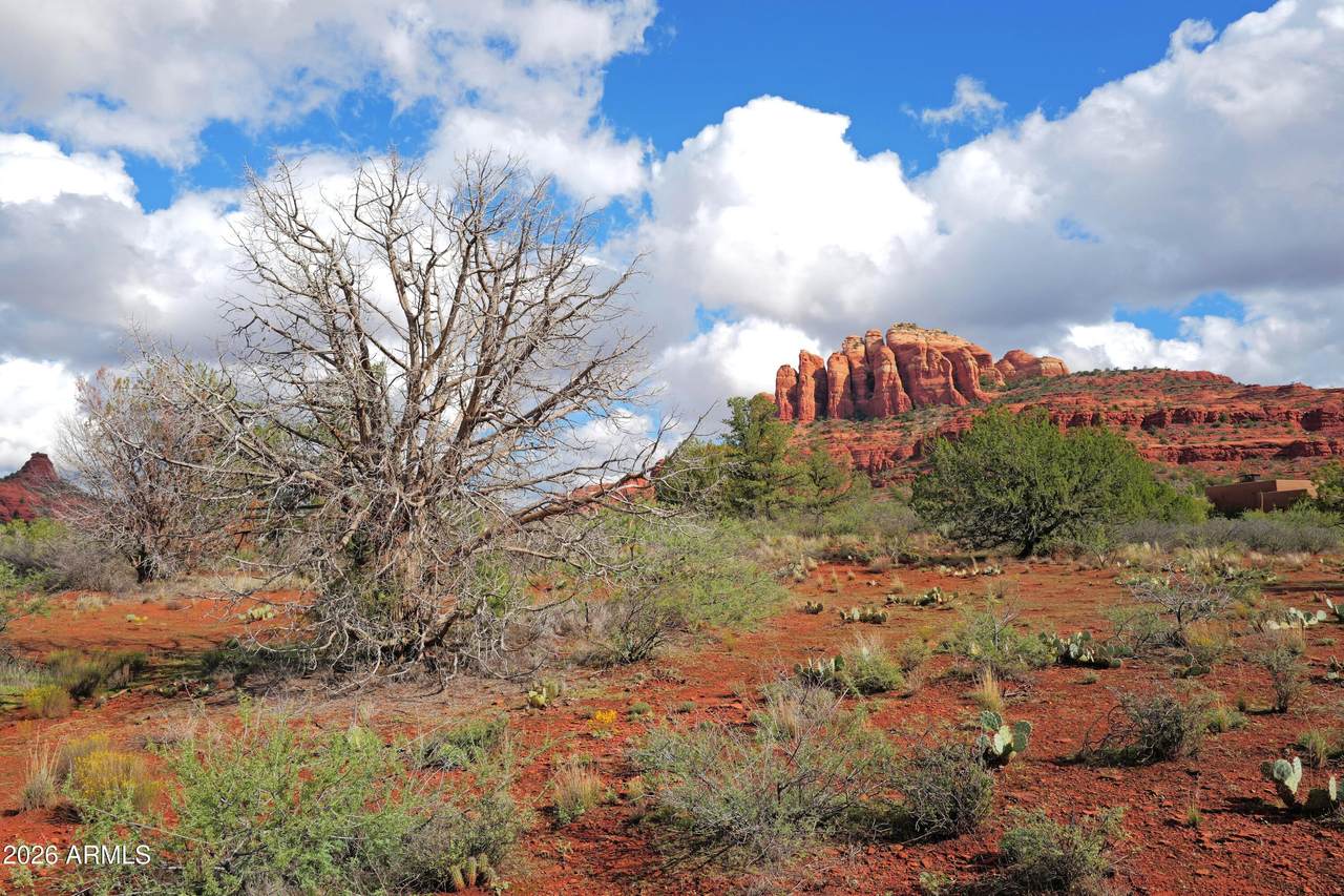 130 Agave Circle - Photo 1