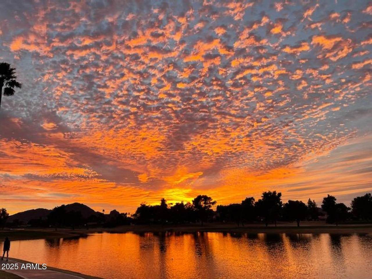 8270 Hayden Road - Photo 1