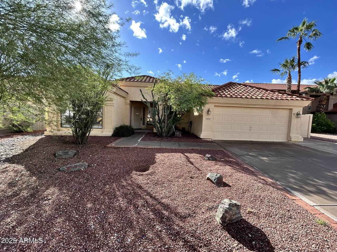 3809 Desert Flower Lane - Photo 1