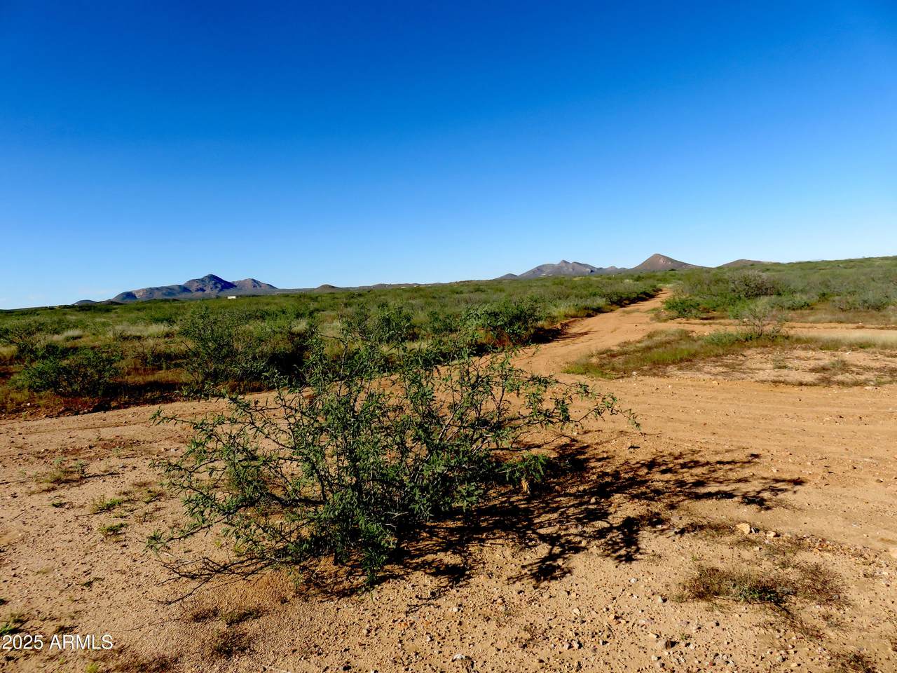 TBD High Lonesome Road - Photo 1