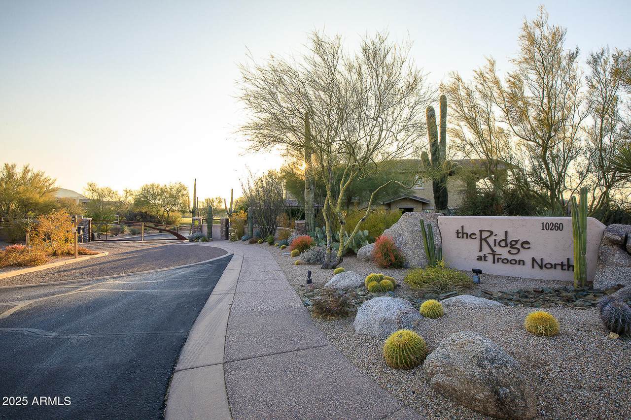 10260 White Feather Lane - Photo 1