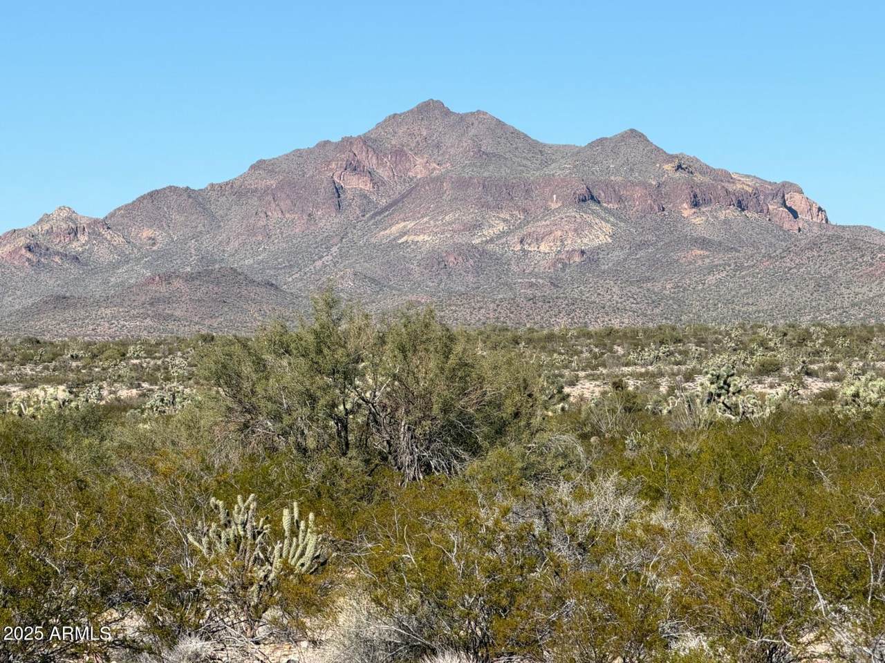1111 Pipeline Ranch Road - Photo 1