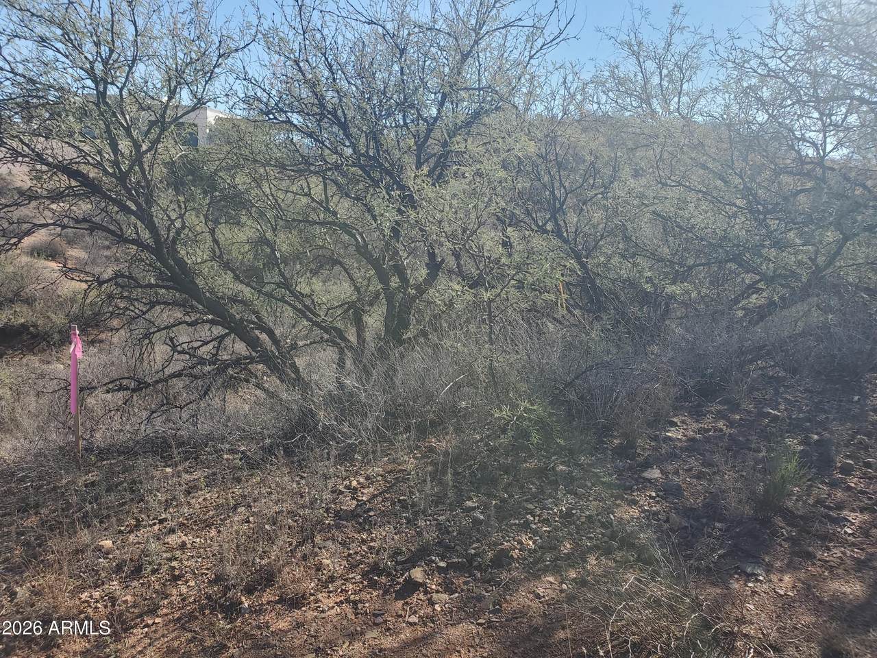 909 Paseo Los Mochis - Photo 1