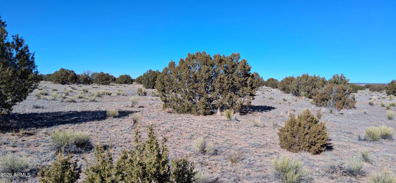 24 County Road N6578 - Photo 1